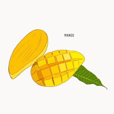Mango elle çizilmiş. Vintage tarzı