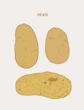 pototoes, el çizilmiş kroki vektör kümesi.