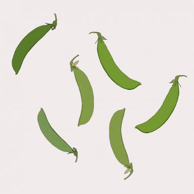 Kar bezelye vintage tarzı. Renkli vektör çizim