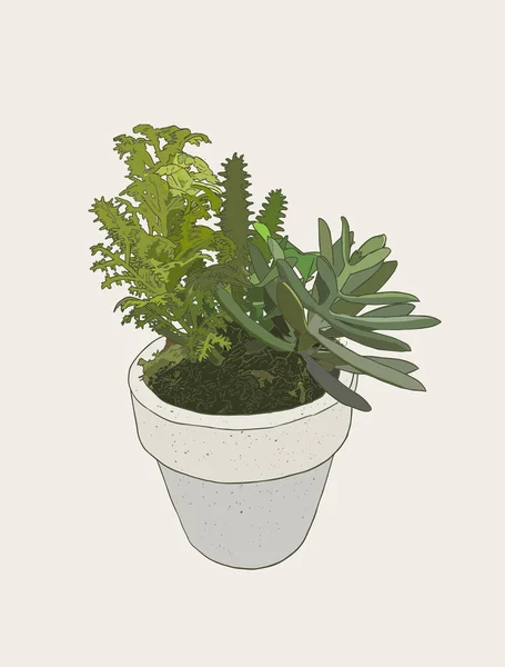 Plantes d'intérieur en pots — Image vectorielle