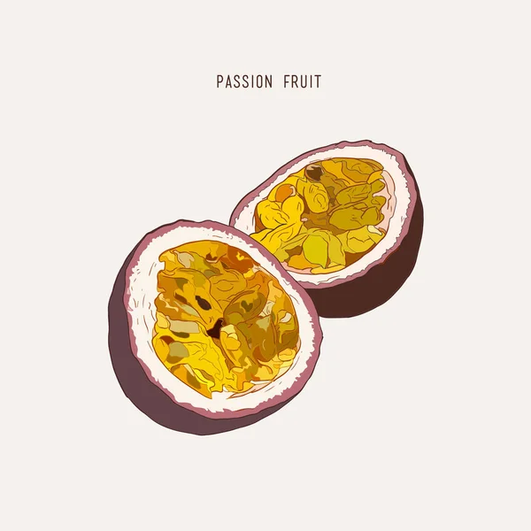 Fruta da paixão, fatia da paixão. Ilustração desenhada à mão vetorial — Vetor de Stock