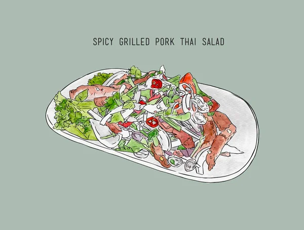Baharatlı ızgara domuz salata, Tayland yemeği. çizilmiş su el sk renk — Stok Vektör