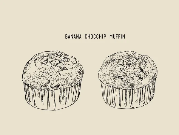 Bananenschokolade-Chip-Muffins in Papierschachteln, Skizzenvektor. — Stockvektor