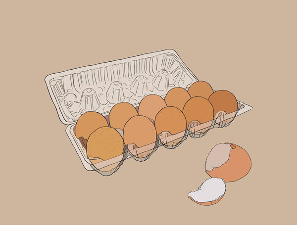 Vector illustration egg box with fresh chicken eggs. Egg plastic