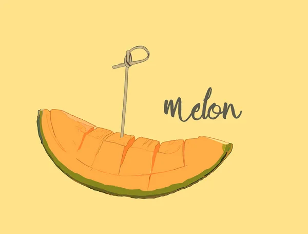 Cantaloupemelon, frukt vektor illustration — Stock vektor