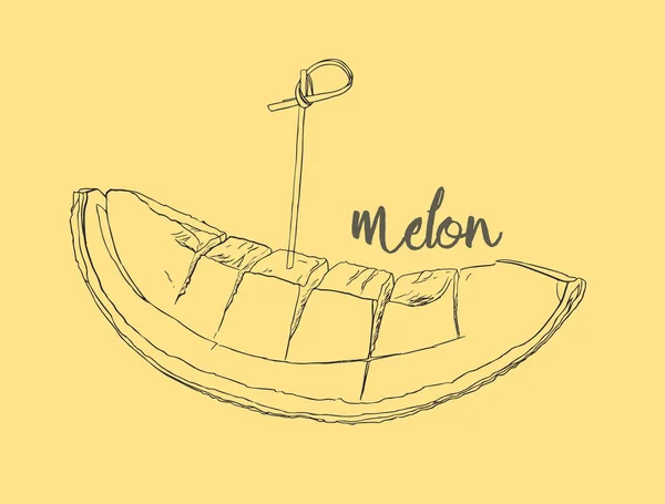 Melón melón, ilustración vectorial de frutas — Vector de stock