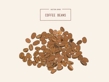 Kahve çekirdekleri. Eli kalem sketch vektör.