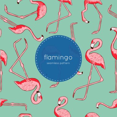 Vektör seamless modeli ile flamingo