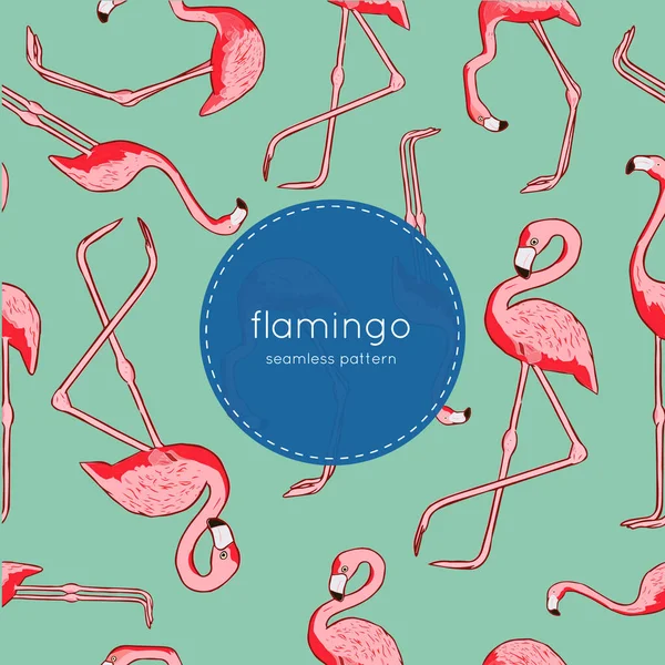 Padrão sem costura vetorial com flamingo —  Vetores de Stock