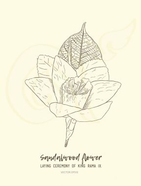 Tay yapay cenaze nergis çiçek veya Dok mai chan, el d