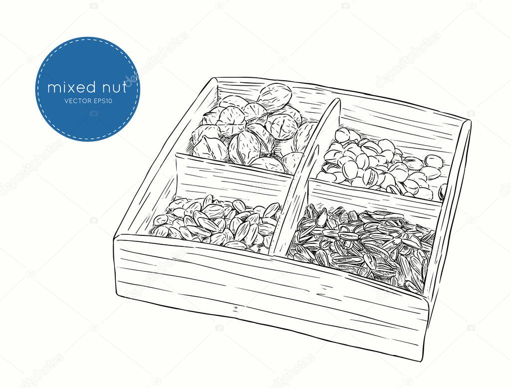 Vector illustration mix of different types nuts.