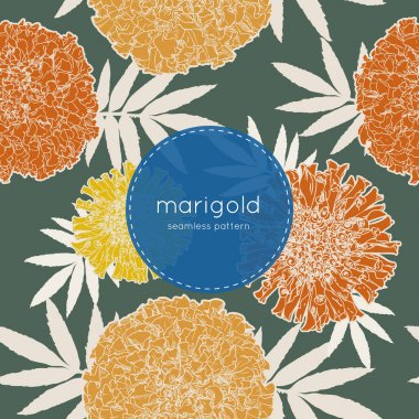 sketch vektör turuncu marigolds el çizmek.