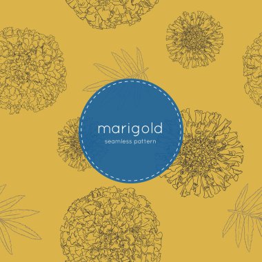 sketch vektör turuncu marigolds el çizmek.