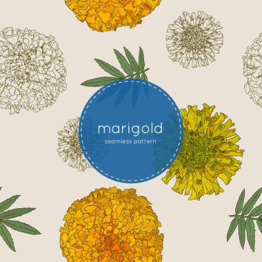 sketch vektör turuncu marigolds el çizmek.