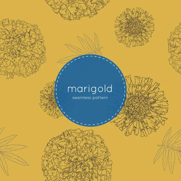 sketch vektör turuncu marigolds el çizmek.