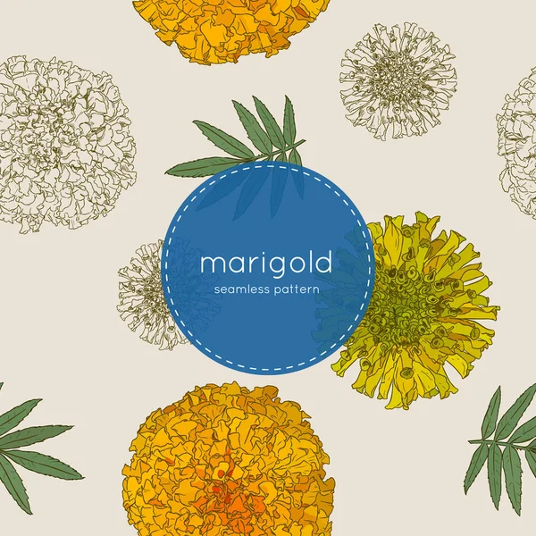 sketch vektör turuncu marigolds el çizmek.