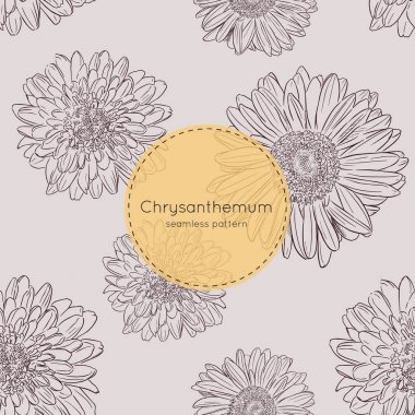 kasımpatı çiçekleri ile Seamless modeli. vektör çizim