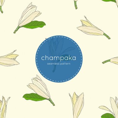 Beyaz Champaka sorunsuz tasarlamak vektör