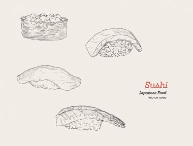 Suşi el çizilen illüstrasyon.