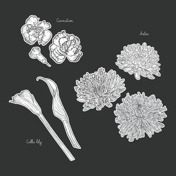 Květinové kytice s ručně kreslené jarní květiny — Stockový vektor