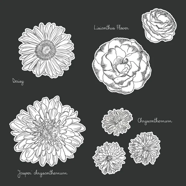 Bloemen boeket met hand getrokken Lentebloemen — Stockvector