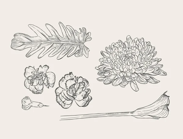 Ramo floral con flores de primavera dibujadas a mano — Vector de stock