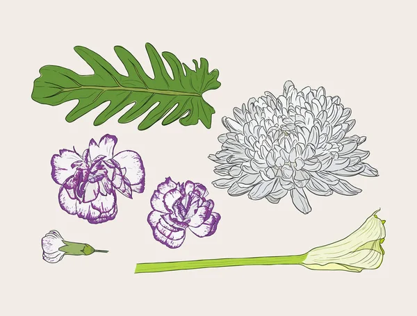 Bloemen boeket met hand getrokken Lentebloemen — Stockvector