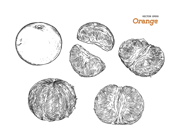 Набор оранжевый, ручной рисунок вектор . — стоковый вектор