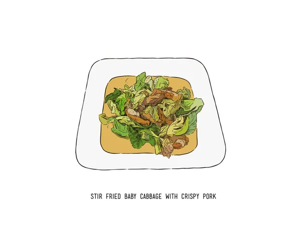 Mescolare cavolo bambino fritto con carne di maiale croccante, thai cibo mano disegnare sk — Vettoriale Stock
