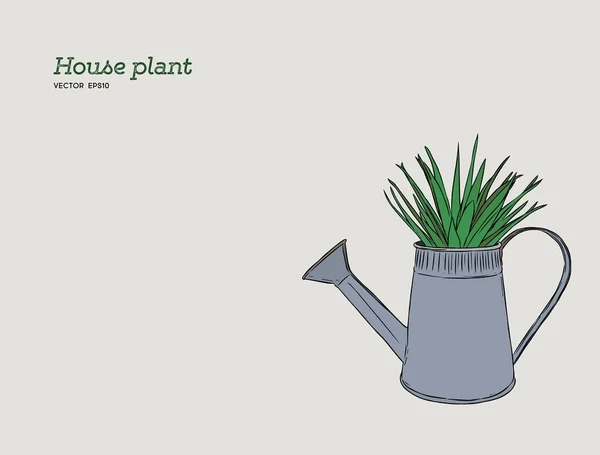 Planta de la casa en maceta, dibujo a mano vector de boceto . — Archivo Imágenes Vectoriales