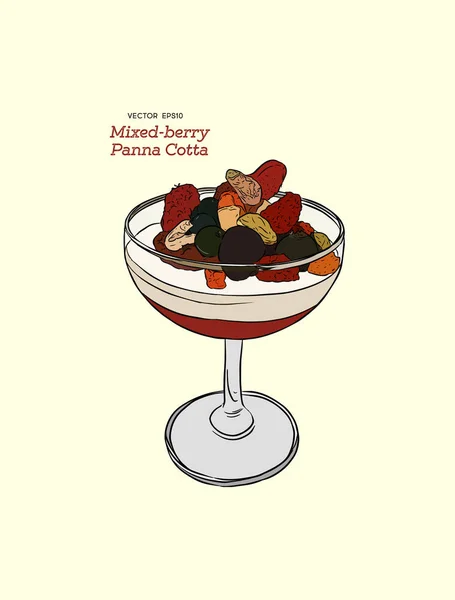 Panna cotta ile taze karışık meyveli bir cam, İtalyan desser — Stok Vektör