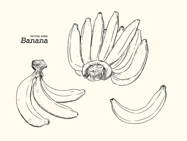 Conjunto de vetores de Bananas Line-Art. Banana madura demais, Banana única  , —  Vetores de Stock