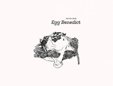 Ispanak, el çizmek sketch vektör yumurta benedict.