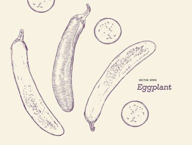 Çizilmiş kroki bütün patlıcan dilimleri kompozisyon ile el. 