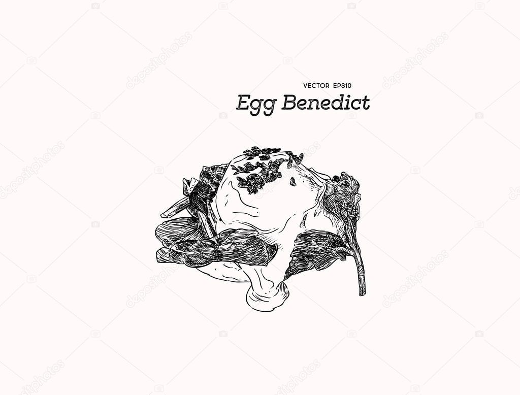 Egg benedict with spinach, hand draw sketch vector.