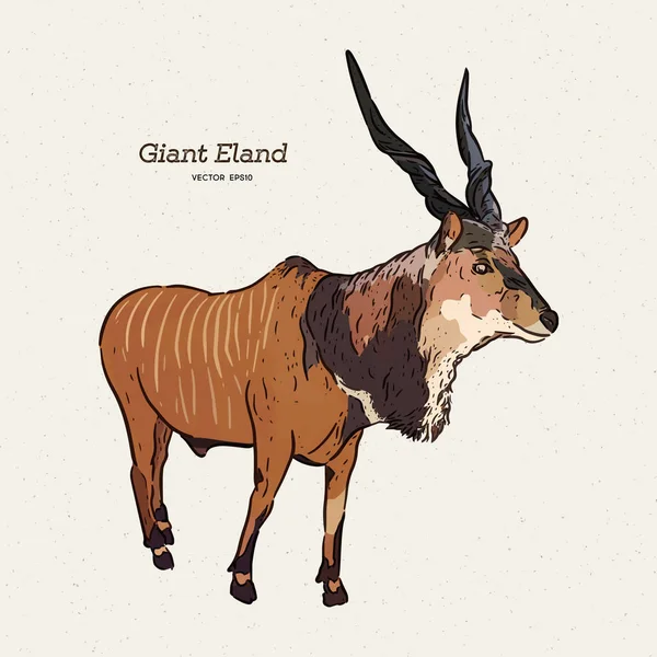 El eland gigante (Taurotragus derbianus), dibujo a mano vector de bocetos — Vector de stock