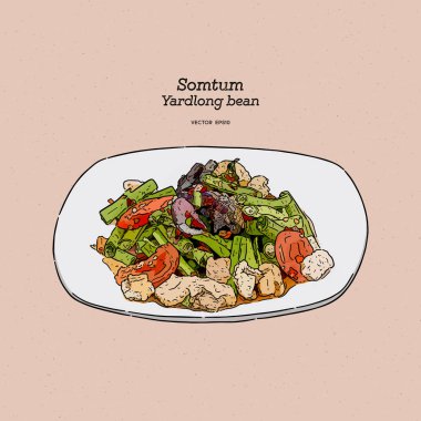 Baharatlı fasulye salatası, Tayland sokak yemeği. El çizimi çizimi ve