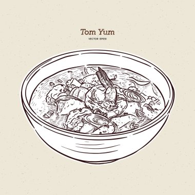 Tom Yum çorbası, Tayland yemeği. el çizimi çizim vektörü.