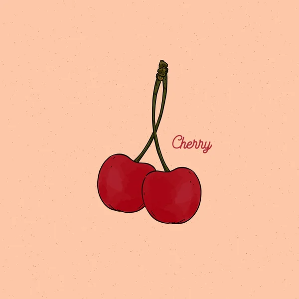 Cherry vector drawing set.  Hand draw sketch vector. — 스톡 벡터