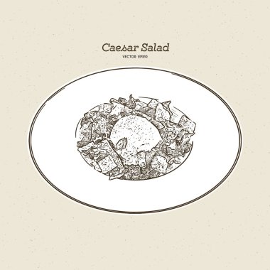 Sezar salatası, elle çizim vektörü.