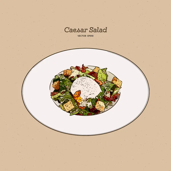 Caesar Salad Gambar Tangan Vektor Sketsa - Stok Vektor