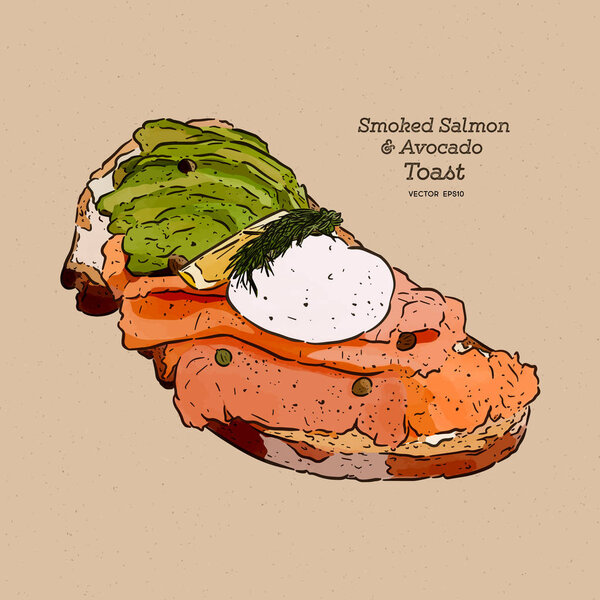 Poached egg on toast, with smoked salmon and avocado, hand draw sketch vector.
