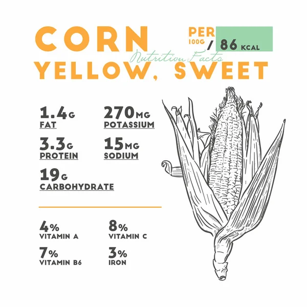 Nutrição Fatos Milho Amarelo Doce Mão Desenhar Esboço Vetor —  Vetores de Stock