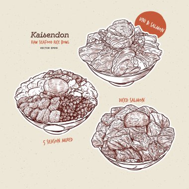 Kaisen Donburi seti, üstünde sashimi olan bir kase pirinç. El çizimi çizim vektörü.