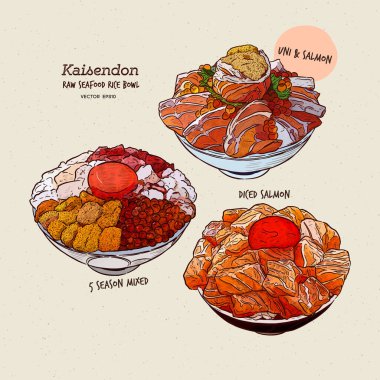 Kaisen Donburi seti, üstünde sashimi olan bir kase pirinç. El çizimi çizim vektörü.