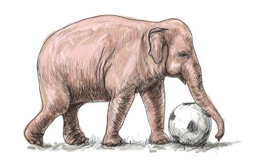 Fil futbol oynuyor, serbest çizim çizimi yapıyor.