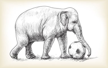 Fil futbol oynuyor, serbest çizim çizimi yapıyor.