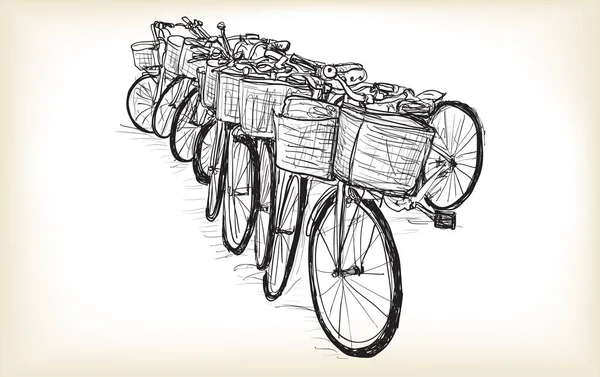 Linha Esboço Bicicleta Para Vender Alugar Vetor Ilustração Desenho Mão — Vetor de Stock
