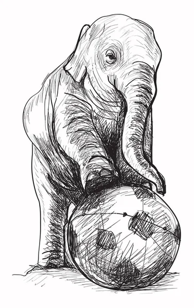 Bebê Elefante Jogar Futebol Esboço Livre Mão Desenho Ilustração Vetor — Vetor de Stock