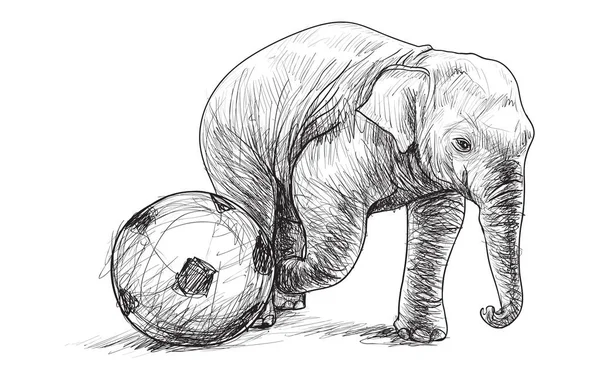 Elefante Jogar Futebol Esboço Livre Mão Desenhar Ilustração — Vetor de Stock